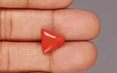 Italian Red Coral - 5.50 Carat Limited-Quality TC-5342