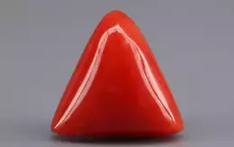 Italian Red Coral - 4.86 Carat Limited Quality TC-5356