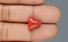 Italian Red Coral - 4.67 Carat Limited Quality TC-5362