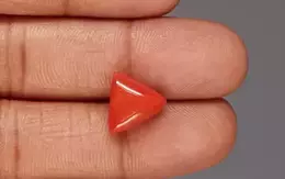 Italian Red Coral - 5.72 Carat Limited Quality TC-5371