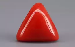 Italian Red Coral - 5.60 Carat Limited Quality TC-5376