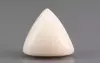  Italian White Coral - 4.73 Carat Limited Quality TWC-22015