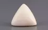  Italian White Coral - 6.76 Carat Limited Quality TWC-22042