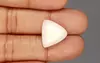  Italian White Coral - 11.55 Carat Limited Quality TWC-22049