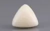  Italian White Coral - 10.46 Carat Limited Quality TWC-22050