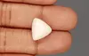  Italian White Coral - 10.46 Carat Limited Quality TWC-22050