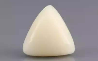  Italian White Coral - 8.69 Carat Limited Quality TWC-22052