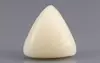  Italian White Coral - 8.69 Carat Limited Quality TWC-22052