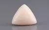  Italian White Coral - 8.43 Carat Limited Quality TWC-22054
