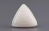  Italian White Coral - 7.97 Carat Limited Quality TWC-22065