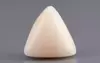  Italian White Coral - 8.51 Carat Limited Quality TWC-22068