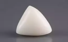  Italian White Coral - 12.87 Carat Limited Quality TWC-22087