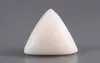  Italian White Coral - 14.62 Carat Limited Quality TWC-22088