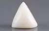  Italian White Coral - 16.46 Carat Limited Quality TWC-22090