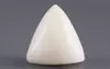  Italian White Coral - 10.97 Carat Limited Quality TWC-22092