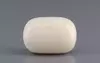  White Coral - 15.25 Carat Prime Quality WC-7608