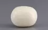  White Coral - 12.9 Carat Prime Quality WC-7612