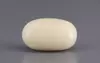  White Coral - 12.42 Carat Prime Quality WC-7620