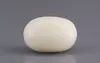  White Coral - 10.31 Carat Prime Quality WC-7622