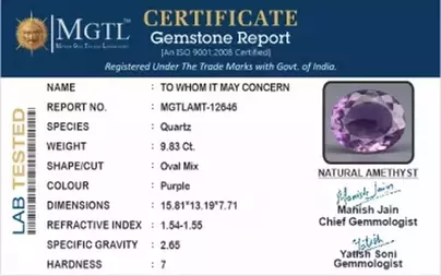 Brazilian Amethyst - 9.83 Carat Limited Quality AMT-12646