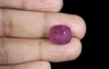 Ruby - BR 7223 (Origin - African) Prime - Quality