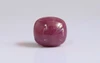 Ruby - BR 7223 (Origin - African) Prime - Quality