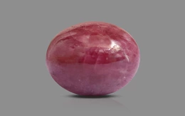 Ruby - BR 7225 (Origin - African) Prime - Quality