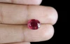 Ruby - BR 7232 (Origin - Mozambique) Limited - Quality