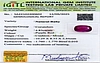 certificate_imageBR-7508-4553.jpg