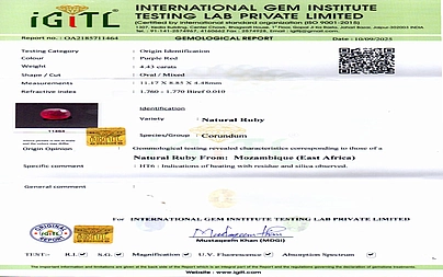 certificate_imageBR-7513-64810.jpg