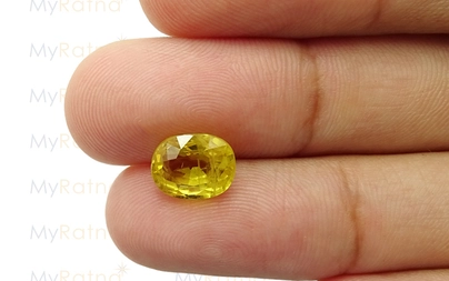 Yellow Sapphire - BYS 6523 (Origin - Thailand) Prime - Quality