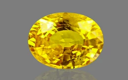 Yellow Sapphire - BYS 6639 (Origin - Thailand) Limited - Quality