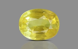 Yellow Sapphire - BYS 6722 (Origin - Thailand) Limited - Quality