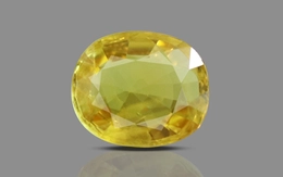 Yellow Sapphire - BYS 6726 (Origin - Thailand) Limited - Quality