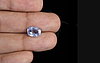 Ceylon Blue Sapphire - 2.65 Carat Prime Quality CBS-6073