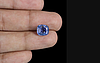 Ceylon Blue Sapphire - 3.46 Carat Prime Quality CBS-6089