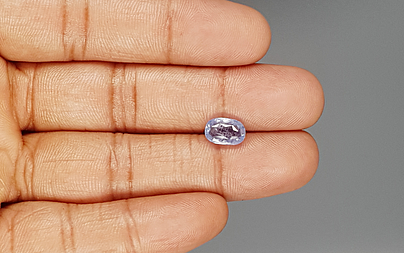 Ceylon Blue Sapphire - 3.10 Carat Prime Quality CBS-6208