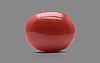 Italian Red Coral - 16.94 Carat Rare Quality CC-5502