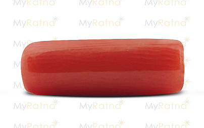 Italian Red Coral - 5.26 Carat Prime Quality CC-5526 