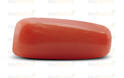 Italian Red Coral - 10.07 Carat Limited Quality CC-5556 