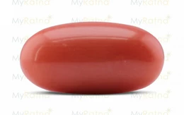 Red Coral - CC 5564 (Origin - Italy) Rare - Quality