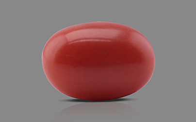 Italian Red Coral - 3.89 Carat Limited Quality CC-5568