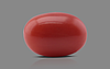 Italian Red Coral - 3.89 Carat Limited Quality CC-5568