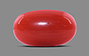 Italian Red Coral - 4.07 Carat Limited Quality CC-5569