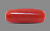 Italian Red Coral - 4.06 Carat Fine Quality CC-5586