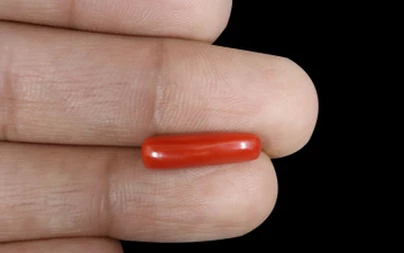 Red Coral - CC 5598 (Origin - Italy) Fine - Quality