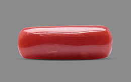 Italian Red Coral - 3.97 Carat Fine Quality CC-5608