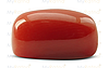 Italian Red Coral - 5.07 Carat Limited Quality CC-5615