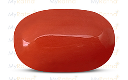 Italian Red Coral - 4.93 Carat Limited Quality CC-5616