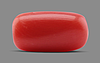 Italian Red Coral - 4.65 Carat Prime Quality CC-5625